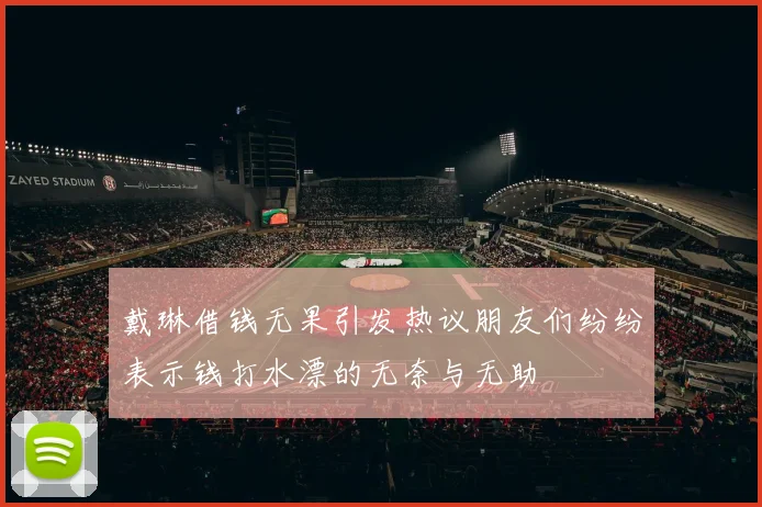 戴琳借钱无果引发热议朋友们纷纷表示钱打水漂的无奈与无助